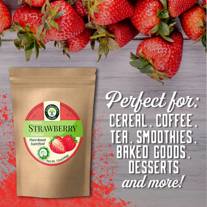 Good Balance Premium 100% Natural Strawberry Fruit Powder, 12oz Resealable Bag, Nutritious Flavor for Baking, Smoothies, Protein Shake, Vegan Protein Powder, Non-GMO, Gluten-Free, No Refined Sugars